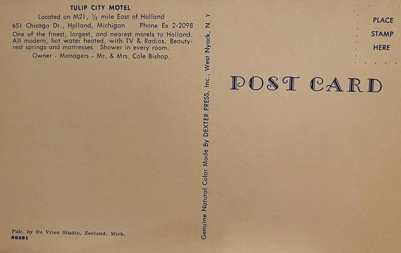 Tulip City Motel - Old Postcard